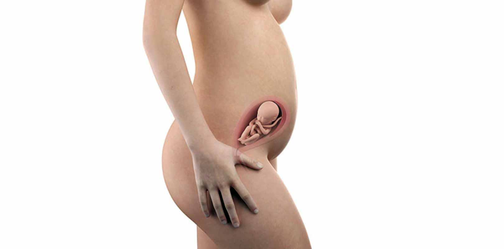 23. SSW – 23. Schwangerschaftswoche