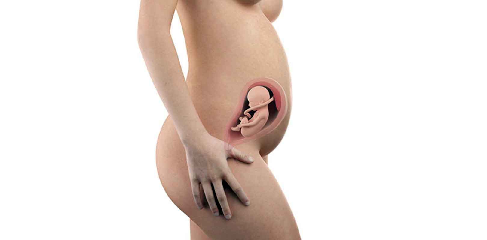 26. SSW – 26. Schwangerschaftswoche