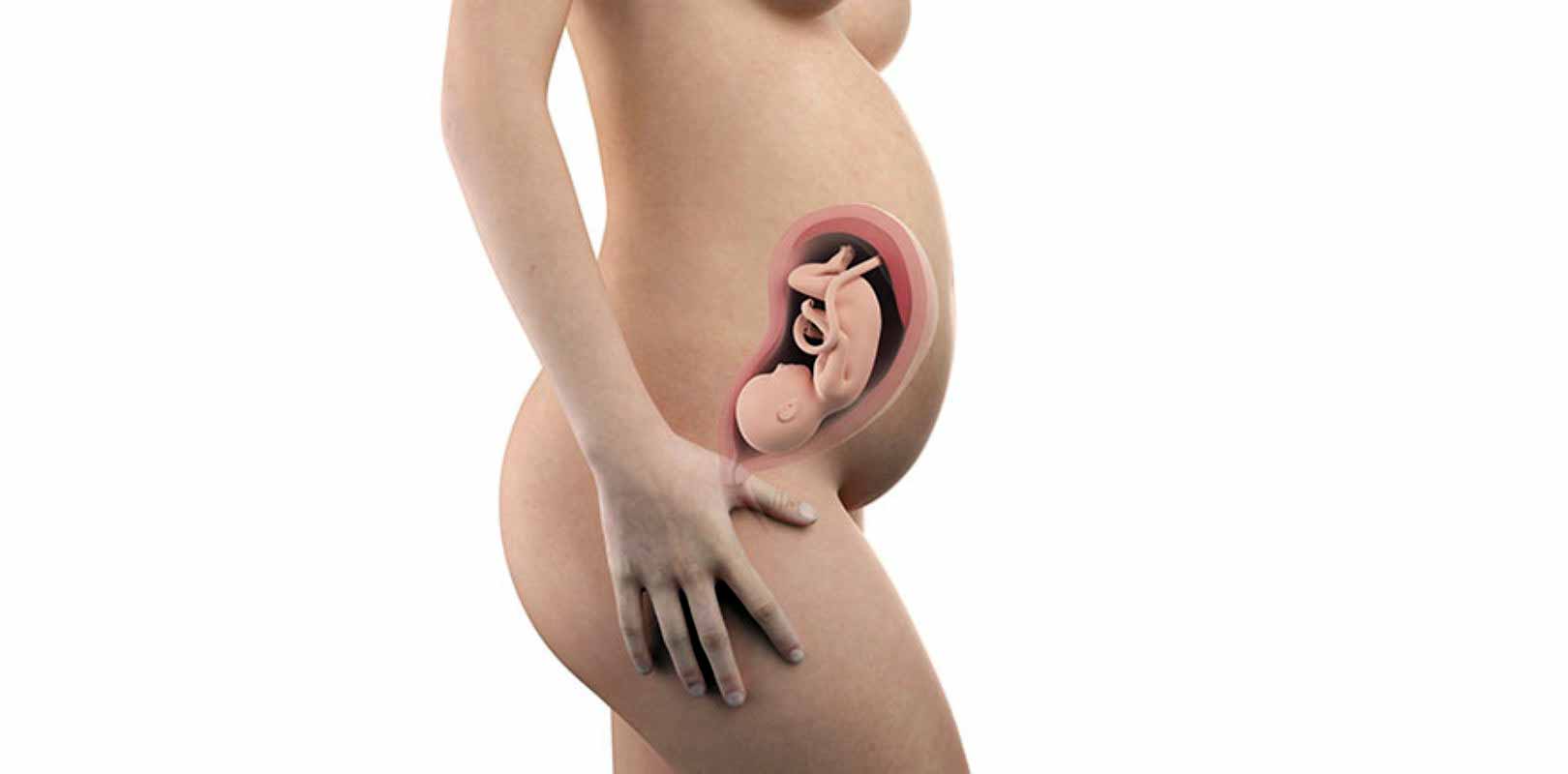 29. SSW – 29. Schwangerschaftswoche