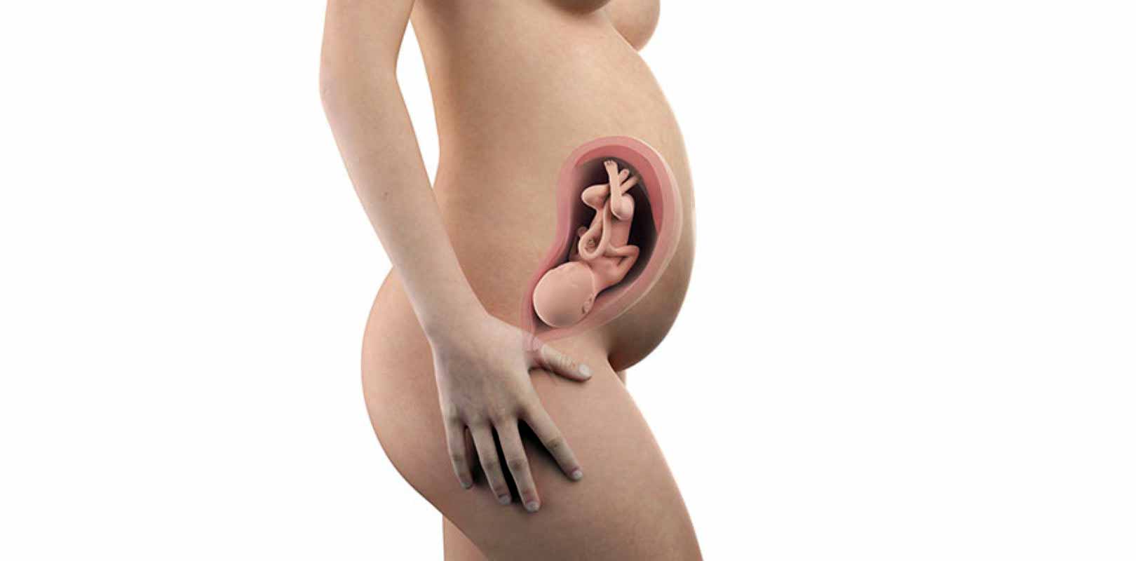 30. SSW – 30. Schwangerschaftswoche