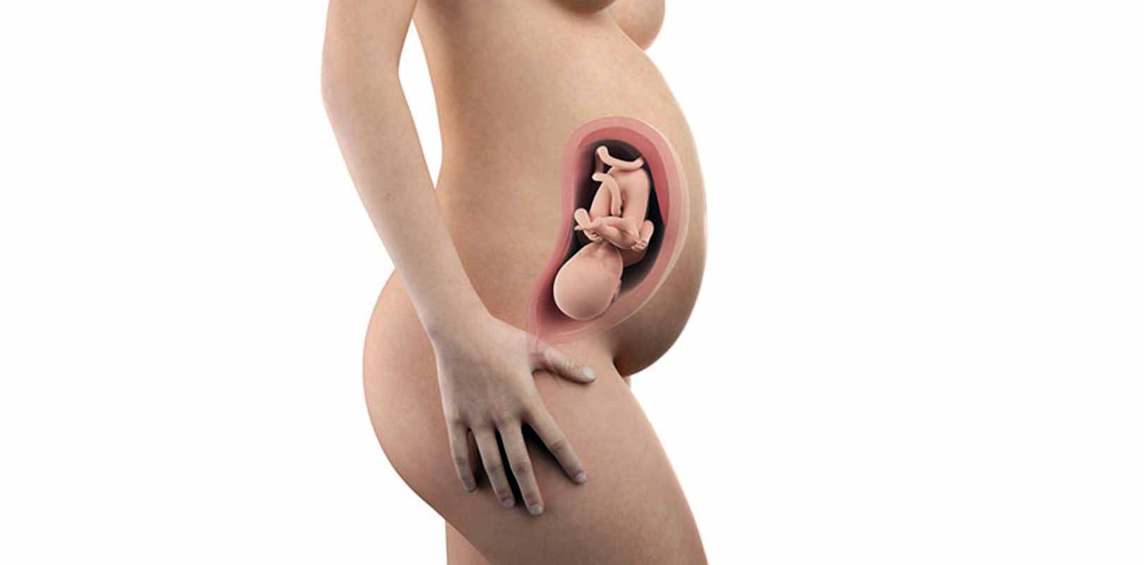 32. SSW – 32. Schwangerschaftswoche