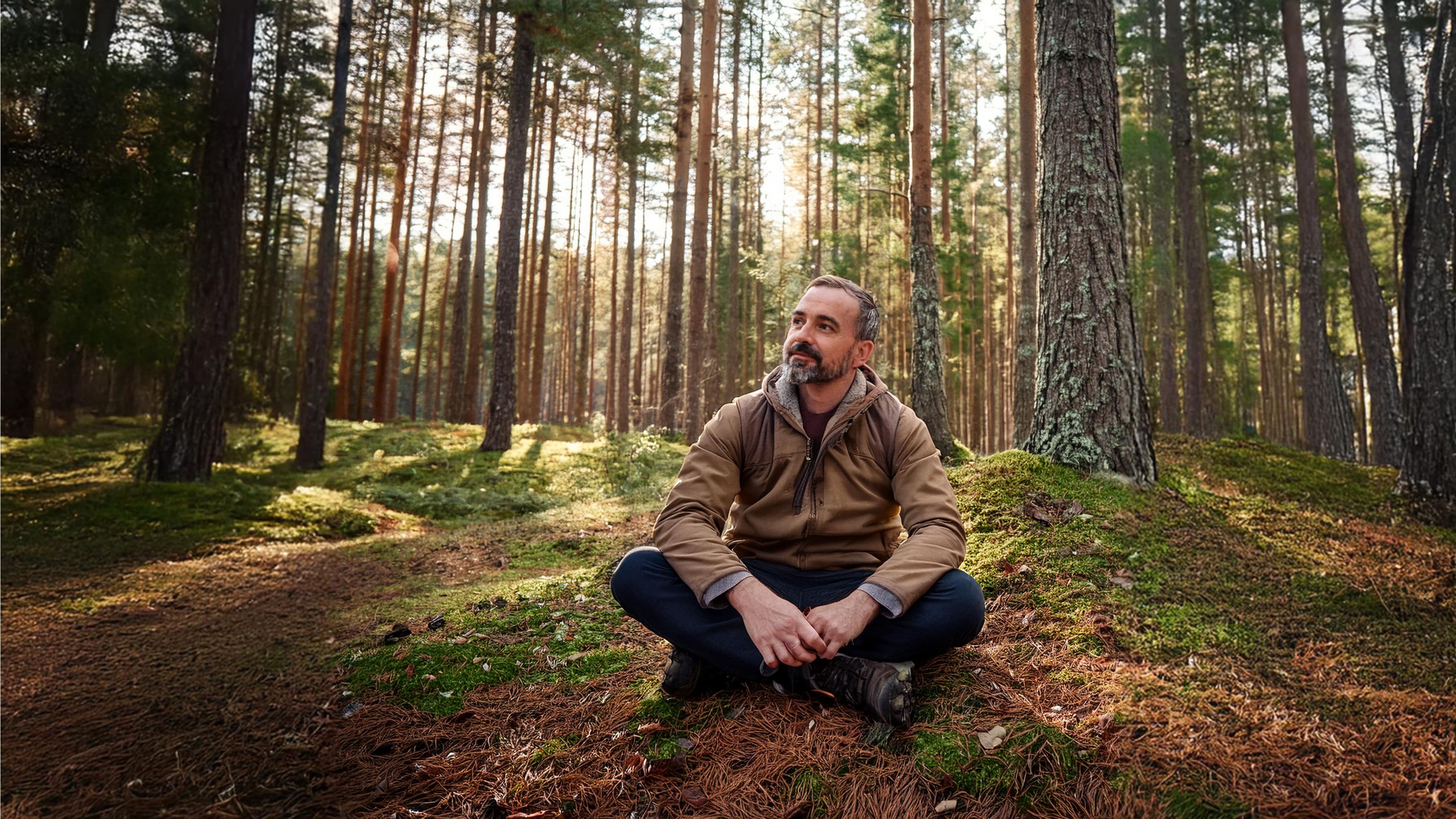 Firefly 20241203143330