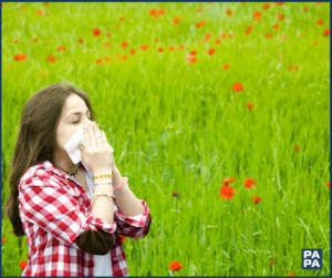 Heuschnupfen bei Kindern